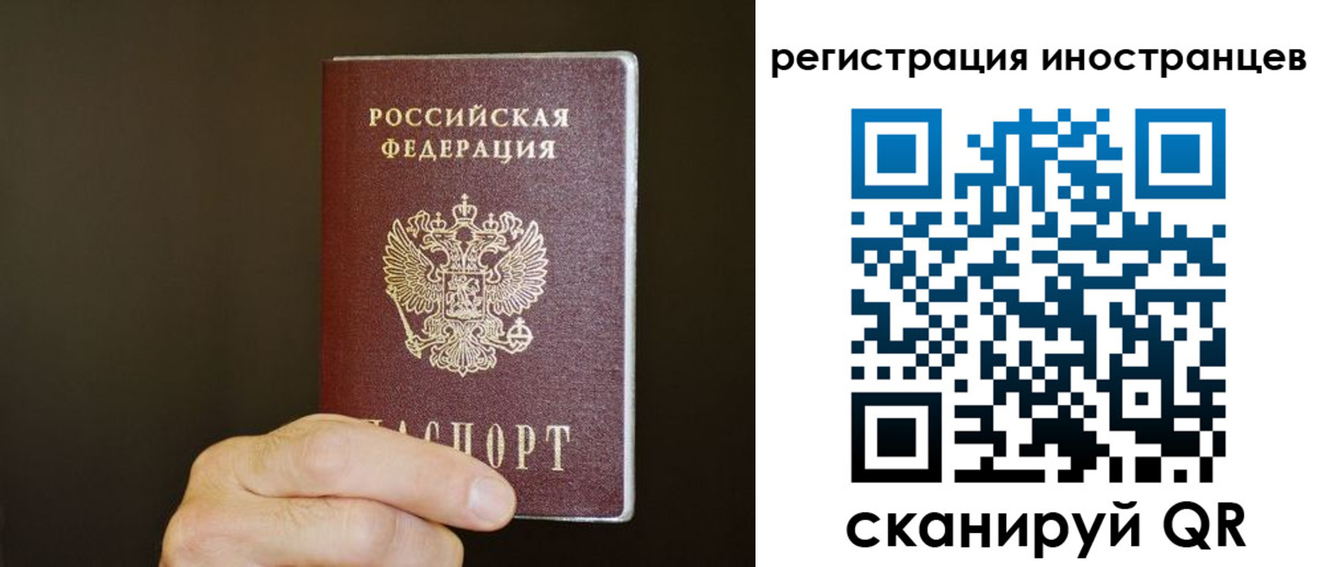 прописка в Мурино
